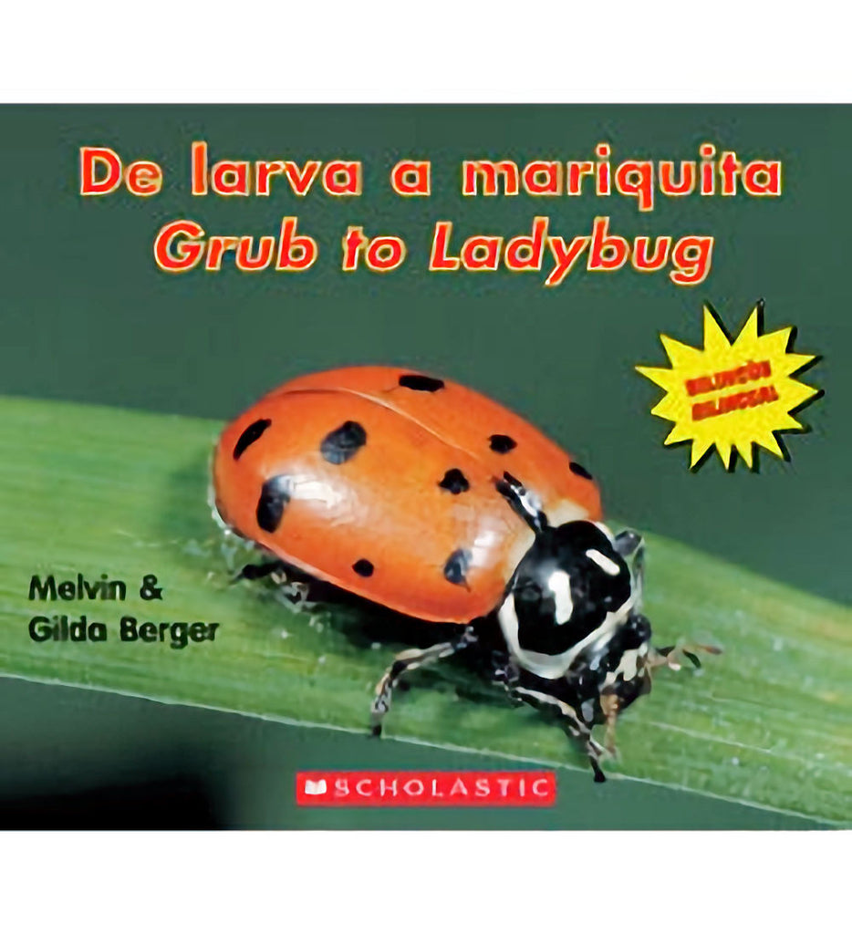 De larva a mariquita Grub to Ladybug