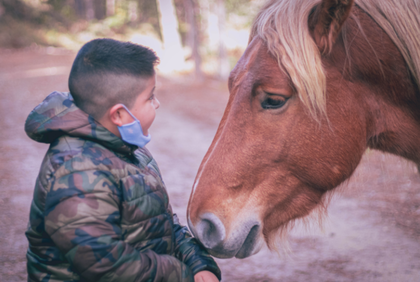 Using Animals to Teach A New Language