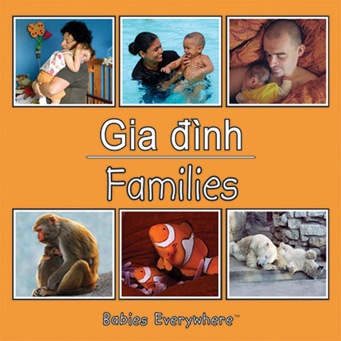 Families Bilingual Vietnamese edition