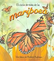 El Ciclo De Vida De La Mariposa -Life cycle of a butterfly (Spanish)