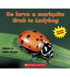 De Larva a  Mariquita - Grub to Ladybug (Spanish-English)