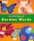 Bilingual Dictionary: My first books of German words (German-English)